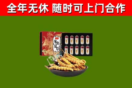 石家庄市回收冬虫夏草价格